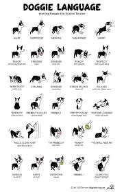 All Sizes Boogie Doggie Language Large Poster Flickr Photo Sharing Dog Body Language Dog Language Body Language