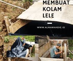 Tampilan sketsa nya kayak begini kira2… kolam dengan ukuran diatas memang bukan termasuk kecil, namun buat ikan koi. Cara Gampang Membuat Kolam Lele Sederhana