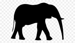 Elephants Png Images Free Download Elephant Png African Png Stunning Free Transparent Png Clipart Images Free Download Elephant and rabbit , elephant star rabbit illustration, elephants and rabbits stars transparent background png clipart. download elephant png african png
