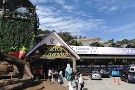 #2 best value of 5 places to stay in kampung raja. Private Cameron Highlands 2 Days 1 Night Trip Marriott
