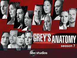 Saison 1 saison 2 saison 3 saison 4 saison 5 saison 6 saison 7 saison 8 saison 9 saison 10 saison 11 saison 12 saison 13 saison 14 saison 15 saison 16 remarque : Grey S Anatomy Season 17 Release Date Episodes And More