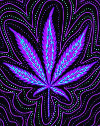 Up to 70% off top brands & styles. Pin On Enter The Dankness Amazing Trippy Weird Mindblown Cool Didyouknow Stoner 420