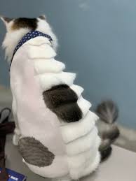 Sikatlah bulu kucing anda sehari sekali bagi menghilangkan stress pada kucing dan mencantikkan bulunya. Lioncut Perlu Atau Tidak