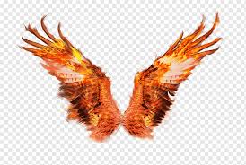 Check spelling or type a new query. Alas De Fuego Sacramento Phoenix Firebird Alas De Fuego Llama Art Âº Vexel Png Pngwing