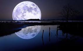 Bermimpi melihat ular di atas tempat tidur. Mimpi Melihat Bulan Antara Pertanda Baik Dan Buruk Bincang Syariah