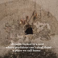 Dreams Tucked In A Nest By Mike Wilson Photo By Ian Yeo Unsplash Instagram Photo Photo And Video Instagram