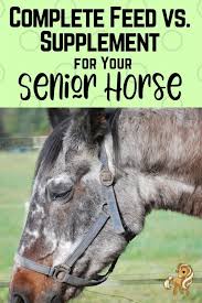 Horse guard equine vitamin mineral supplement Best Senior Horse Feeds Complete Feeds Vs Supplements Senior Horse Senior Horse Feed Horses