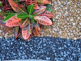 Termidor sc, talstar p, terro, bifen it What Is The Best Topdressing For Interior Plants Planterra