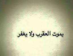 برج العقرب horoscope tattoo quotes quotes