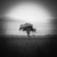 Awesome Black And White Landscape Photographs Blackandwhitelandscapephotographs Landscape Photography Abstract Landscape Landscape Photography Beach