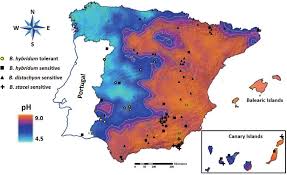 International match match portugal vs spain 07.10.2020. Map Of Spain And Portugal Including The Soil Ph Data From Fernandez Et Download Scientific Diagram