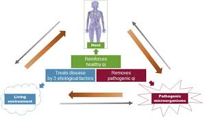Длинный меч / chang jian feng yun. Combating Covid 19 With Integrated Traditional Chinese And Western Medicine In China Sciencedirect
