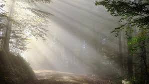 Ucapan selamat pagi merupakan salah satu kegiatan yang kemungkinan hampir selalu kita lakukan ketika bertemu dengan orang lain. 29 Kata Ucapan Selamat Pagi Awali Hari Dengan Semangat Ragam Bola Com