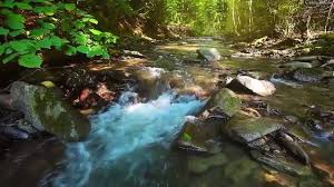Música com sons da natureza, top tracks: Voo Da Coruja Musica Relaxante Flauta Indigena E Sons Da Natureza Acalmar Facebook