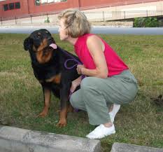 Your are about to improve (and potentially save!) the life of one lucky pup, as well as to immeasurable improve your own happiness! Rotts N Pups Rescue Home Facebook