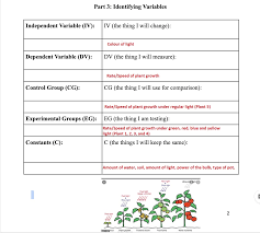 Coloring flowers is an easy springtime science experiment that kids of all ages can do at home. Part 1 The Experiment White Red Or Blue Light Chegg Com