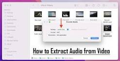How to Extract Audio from Video Step by Step - Hollyland