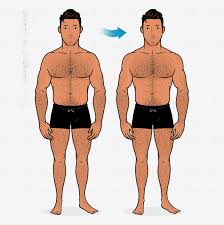 If you want to know how to get bigger buttocks without exercise, then you have come to the right place. How To Build Broader Shoulders For Skinny Guys Bony To Beastly