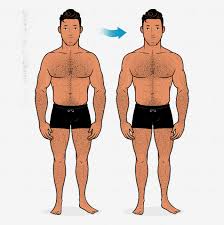 When do men typically stop growing in height? answered by dr. How To Build Broader Shoulders For Skinny Guys Bony To Beastly
