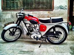 Mashooq S Tiger Cub Www Tigercubandterrier Com