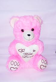 ms sons gift arts pink teddy big set