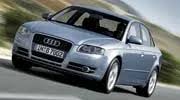 Image result for Tief Green 2005 A4
