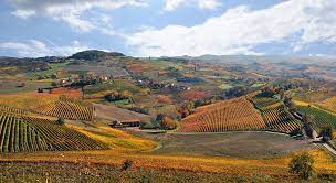 With eleven hospitals and more than 100 outpatient centers and physician practices across metro atlanta and north georgia, we offer every level of care to our diverse communities. Die Highlights Des Piemonts Piemont Pur