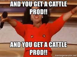 And You Get A Cattle Prod And You Get A Cattle Prod Oprah Winfrey Meme Meme Generator