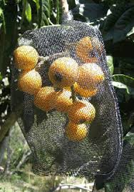 Find everything to fuel your health at biovea Exclusion Products Online