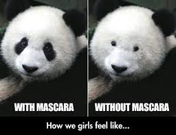 15 Funny Pics For Your Monday Funny Panda Pictures Panda Bear Funny Pictures