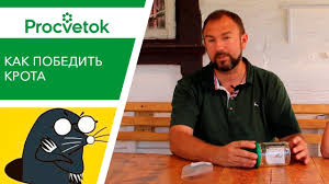 как избавиться от кротов на огороде в домашних условиях Krot V Ogorode Gumannye Sredstva Borby Otpugivatel Krotov Svoimi Rukami Youtube