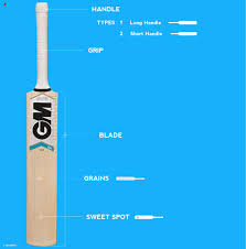 How To Choose A Cricket Bat Cricket Buyers Guide