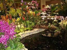 Orchid Garden Orchids Garden Amazing Gardens Urban Garden