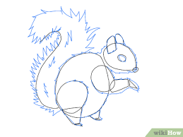 (step 13) draw an oval and a letter 'v' like shape on tips of feet. 3 Ways To Draw A Squirrel Wikihow