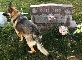 Browse the user profile and get inspired. Anna Shilling Obituary 1927 2017 Durango Co The Durango Herald