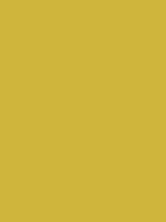 old gold cfb53b hex color