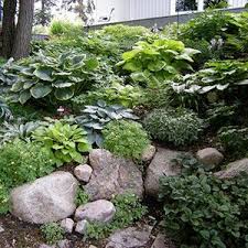 Design Lessons From A Minnesota Shade Garden Sloped Garden Shade Garden Rock Garden