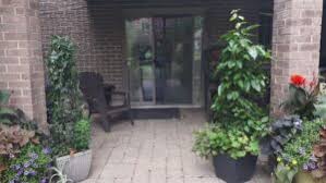 They can be woody or herbaceous. Passion Fruit Vine Toronto Master Gardeners