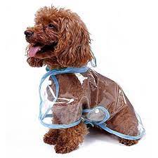 Yk Waterproof Pet Dog Raincoat Transparent Puppy Rainwear Rain Coat Jacket Clothes Clear For Small Dogs Blue See This A Dog Raincoat Dog Coats Dog Diapers