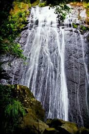 We did not find results for: Pin By Yani On Puerto Rico Isla Del Encanto Puerto Rico Vacation El Yunque Rainforest Puerto Rico Island