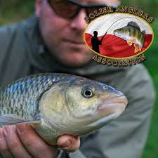 Profile for PAA Greater London