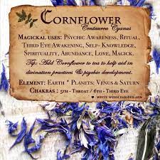 Cornflower Apothecary Dried Herbs For Psychic Awareness Self Knowledge Ritual Magic Herbs Magickal Herbs Magical Herbs