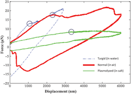 2 units of measurement in cell studies. Quantifying Plant Cell Wall Failure In Vivo Using Nanoindentation Mrs Communications Cambridge Core