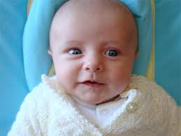 Foggie Gossip February 2009