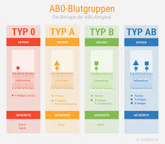 Ernahrung 3 0 Ist Typgerecht Foodfibel Blutgruppe Blutgruppe A Blutgruppe 0 Positiv Ernahrung