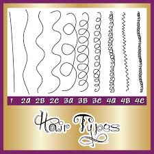 It separates hair types by texture and density. Hair Type Guide The Only Hair Typing System Article You Ll Ever Need