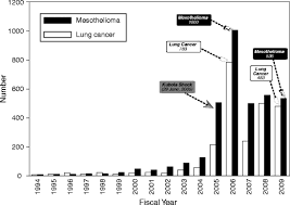 At 2007, hkwhc successfully lobbied the government to support the amendment of pneumoconiosis compensation ordinance by incorporating the mesothelioma into the . Asbestos Pollution And Its Health Effects Asbestos Related Diseases In Japan Springerlink