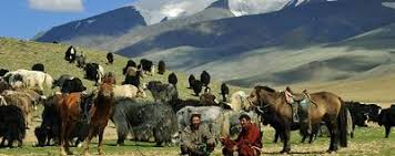 The Rise of the Mongols