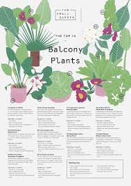 The Small Garden Design Ideas Balcony Plants Balcony Flowers Apartment Balcony Garden