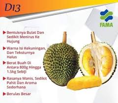 Ada beberapa cara atau kaedah untuk mencantum pokok durian yang sering dilakukan seperti cantuman baji, cantuman mata tunas, cantuman sisi, cantuman sanding, marcotting atau tut dan sebagainya. Rasa Durian D88 D88 Durian